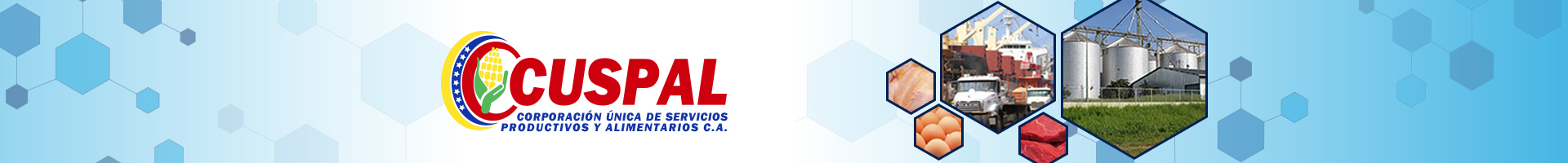 Banner de Identificación CUSPAL