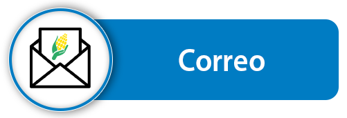 Botón Correo Institucional