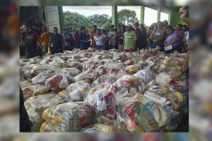 APURE 1