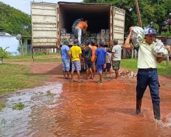 APURE 1