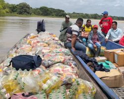 APURE 3