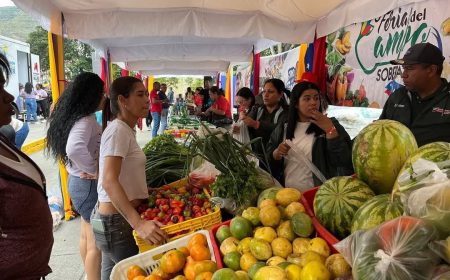 photo_5138863808175606639_y