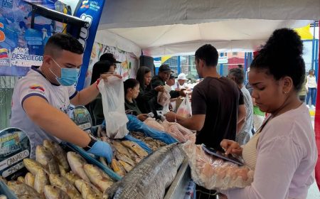 photo_5150217356654087217_y